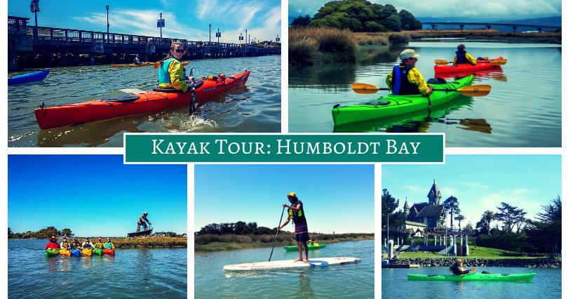 Humboldt Bay Kayak