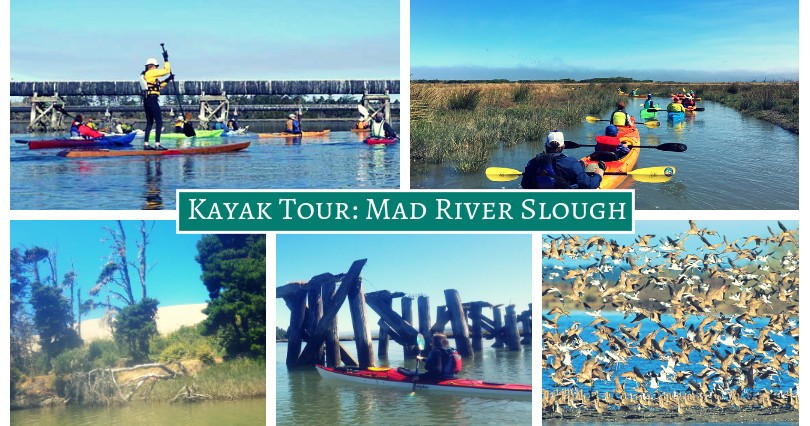 Mad River Kayak